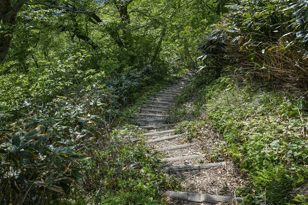 仙ノ倉山から下山