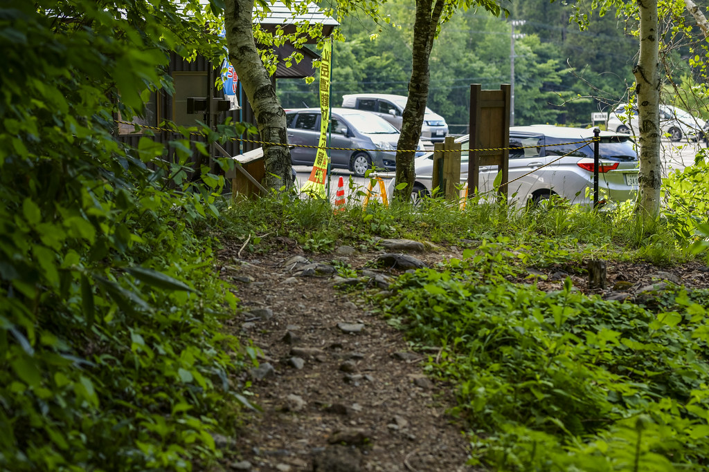 仙ノ倉山から下山