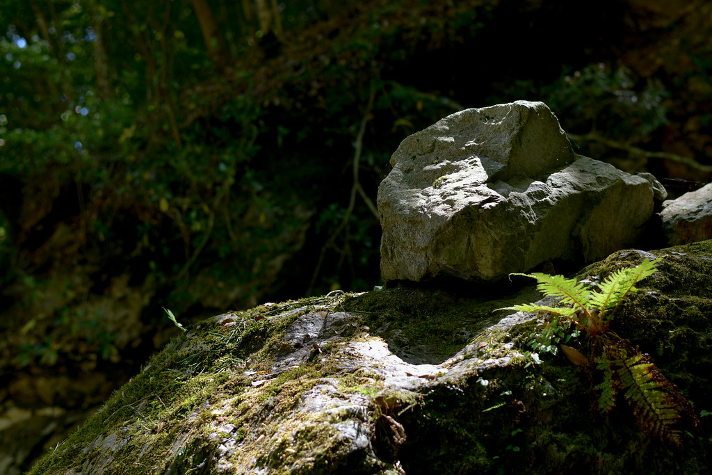 大杉谷登山道の岩