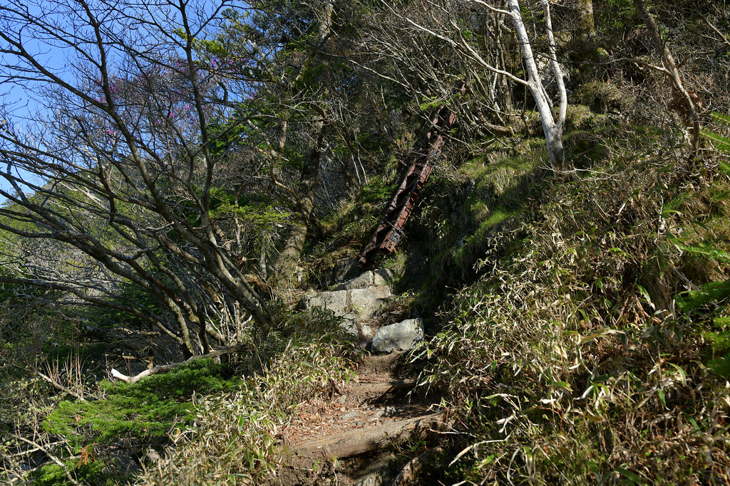 大普賢岳への登山道