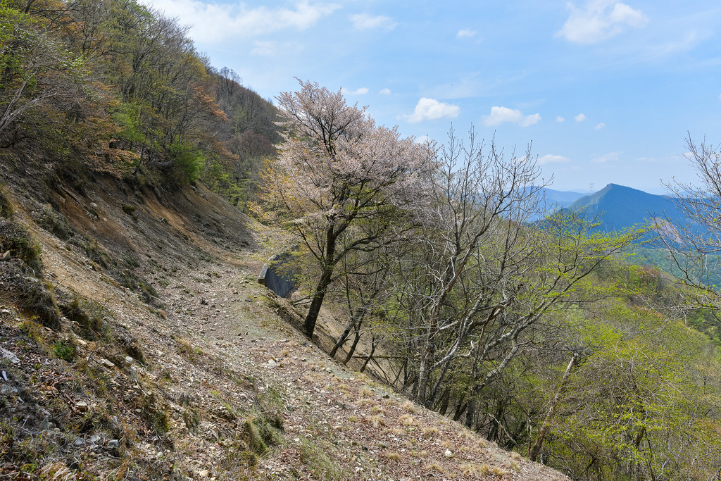 天川村への下山