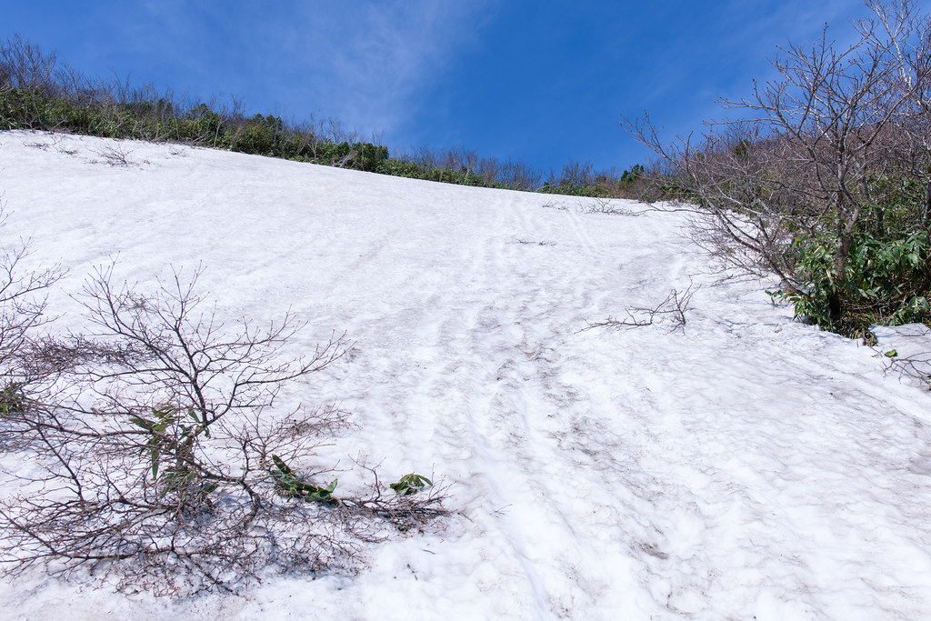 枡沢コースの上部雪渓