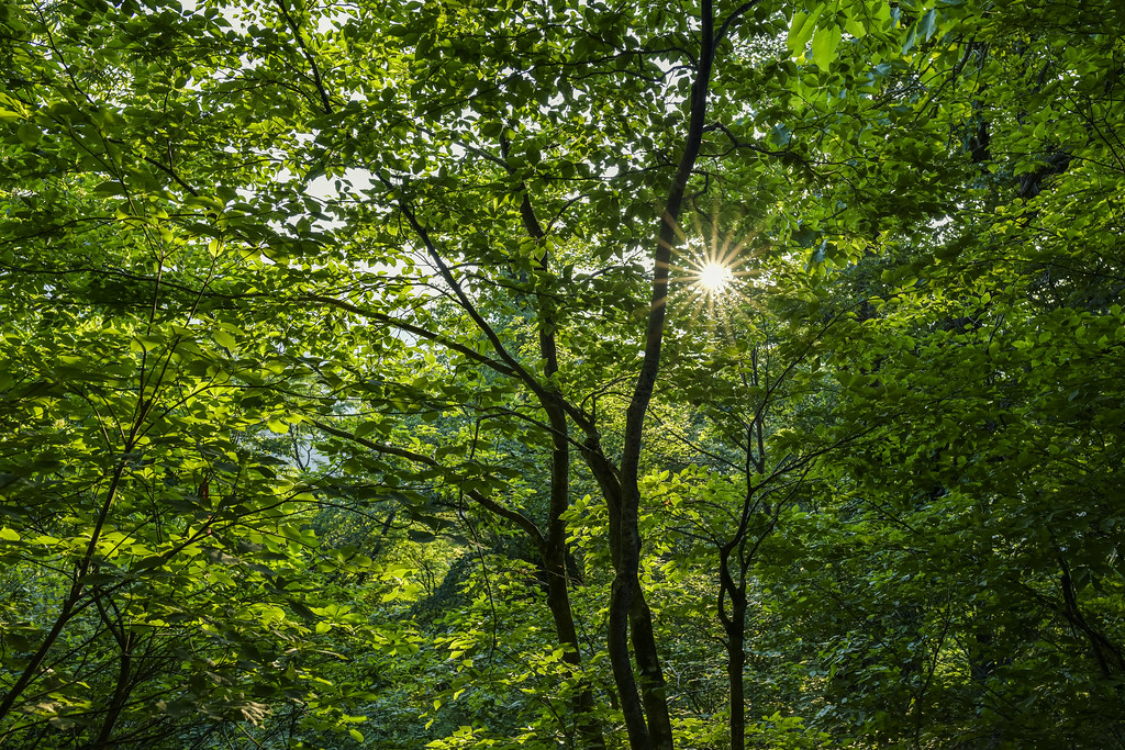 夜明けの西黒尾根