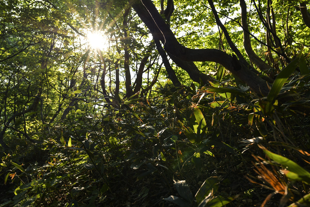 夜明けの西黒尾根