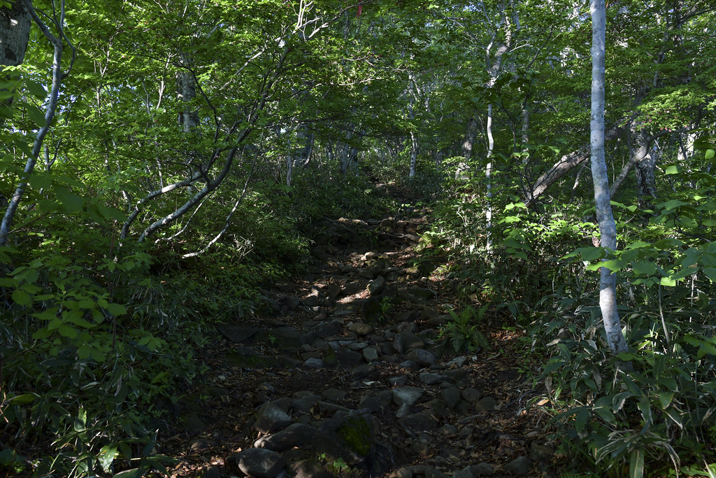 西黒尾根登山道