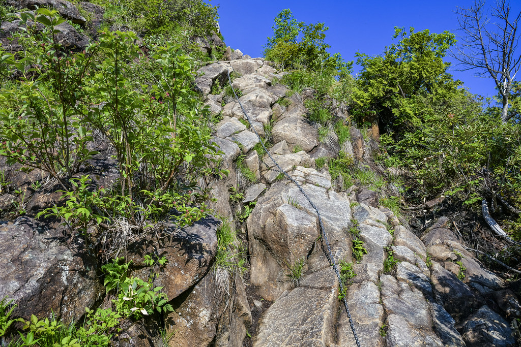 西黒尾根登山道からの景色