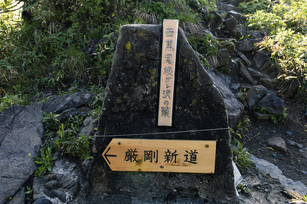 厳剛新道分岐
