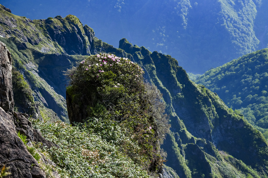 西黒尾根登山道