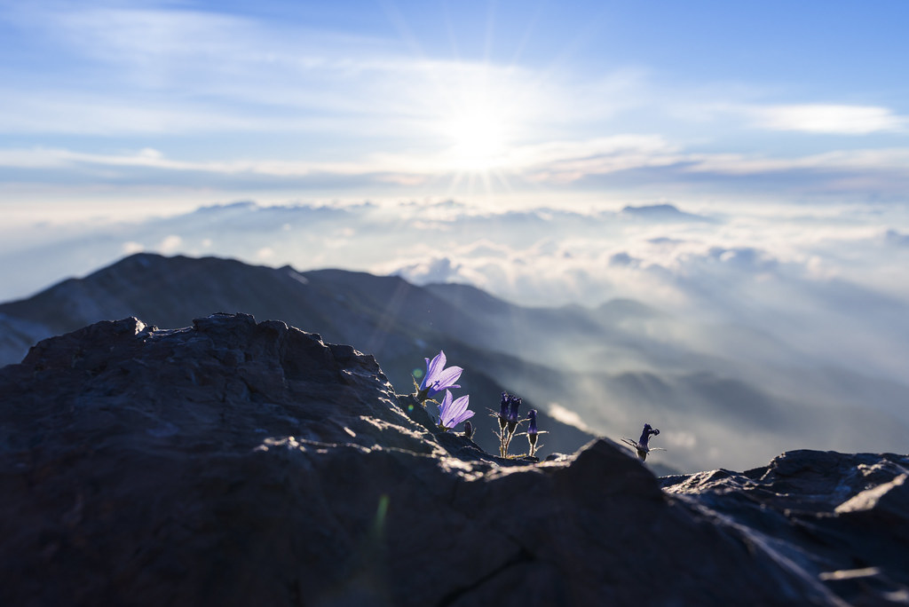 白馬岳のご来光