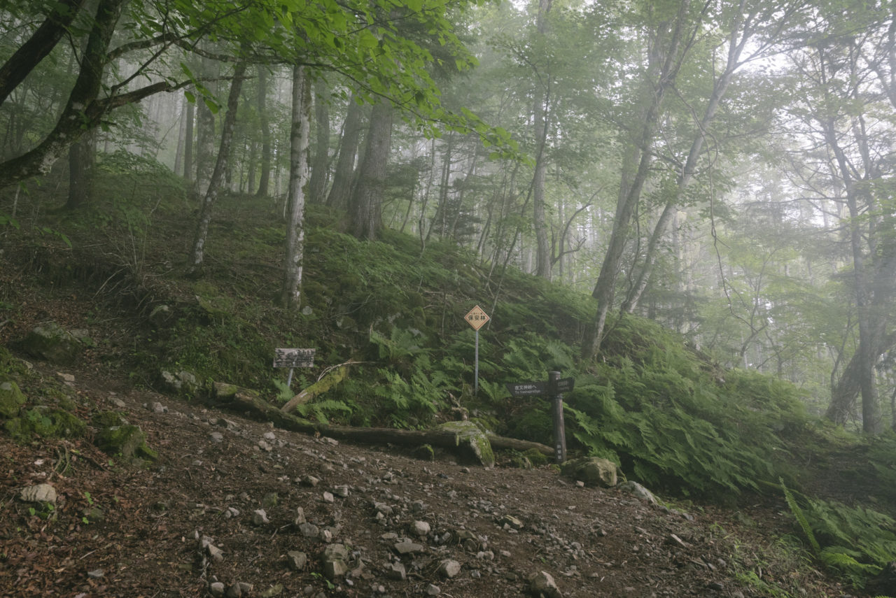 霧に包まれた登山道