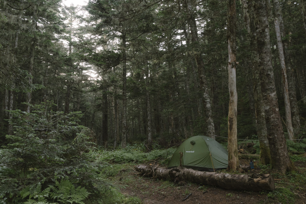 森の中のテント場