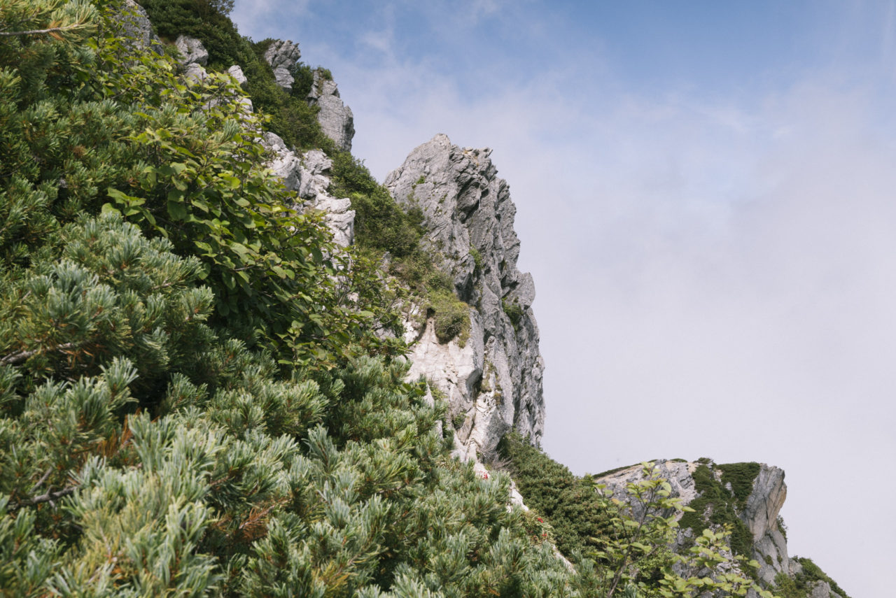 ハイマツが茂る山肌から露出する巨岩