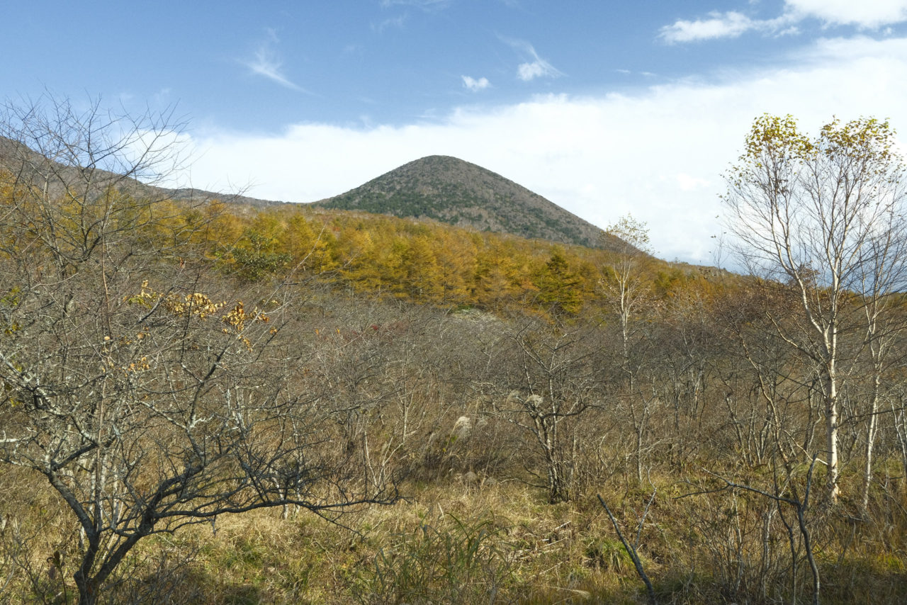 紅葉の白笹山と湿原