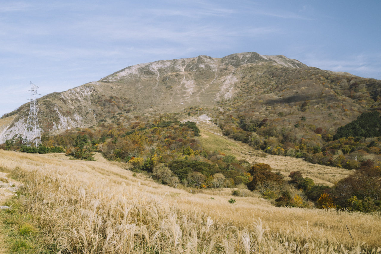 伊吹山本体を見上げる