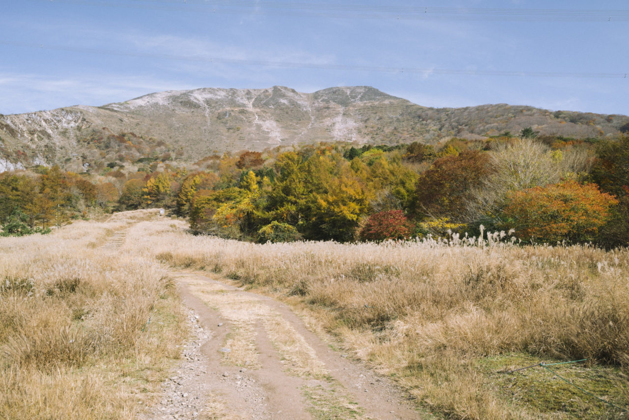 三合目から伊吹山本体へ