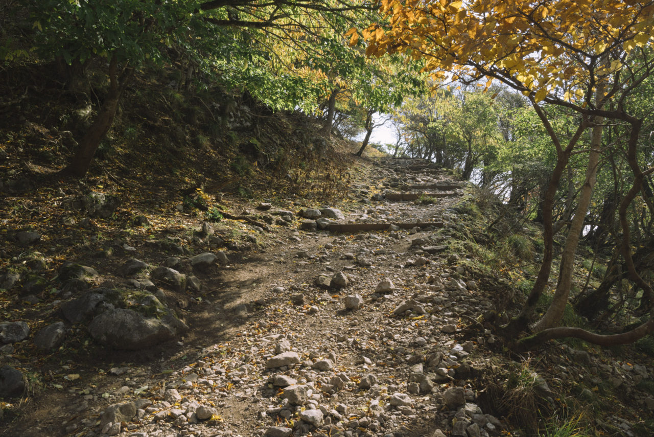 紅葉の登山道