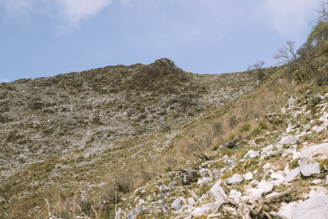 伊吹山山頂の山肌