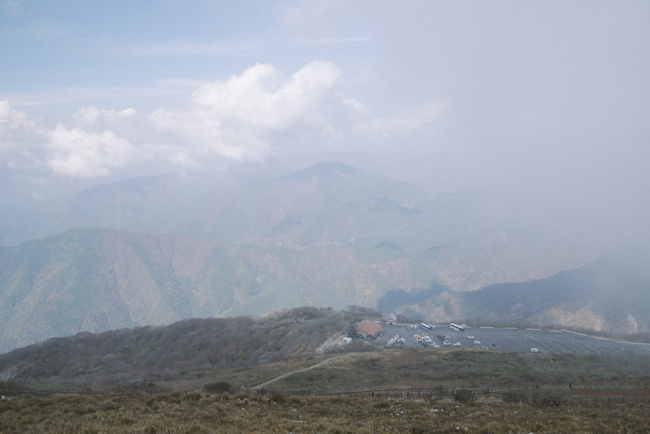 ドライブウェイ駐車場の景色