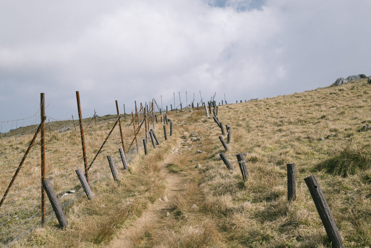 伊吹山山頂の遊歩道