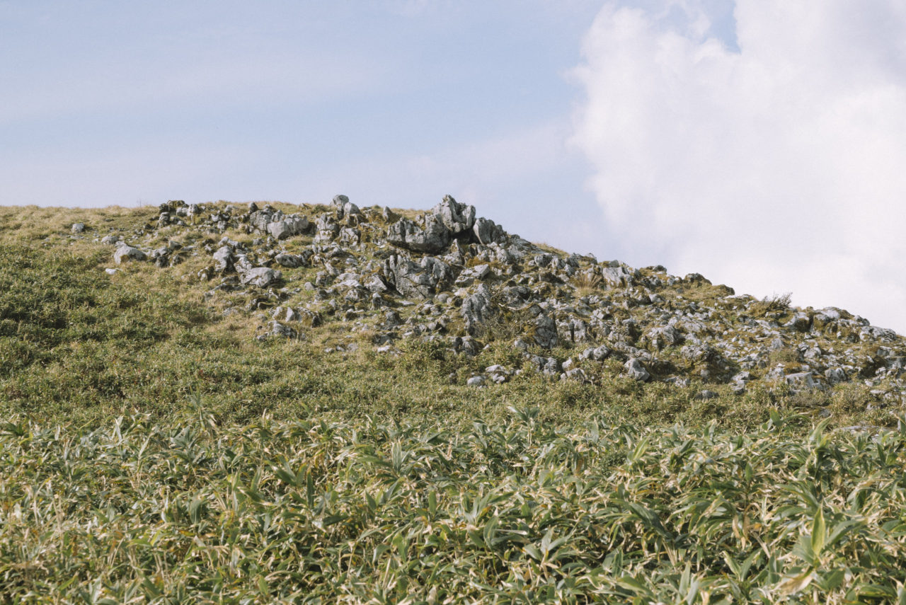 伊吹山山頂の露岩