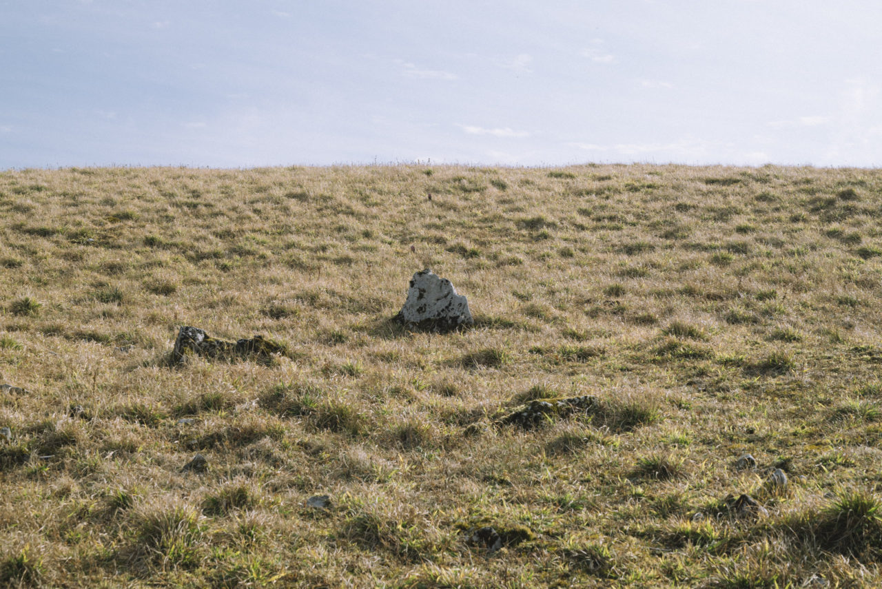 草原に取り残された岩