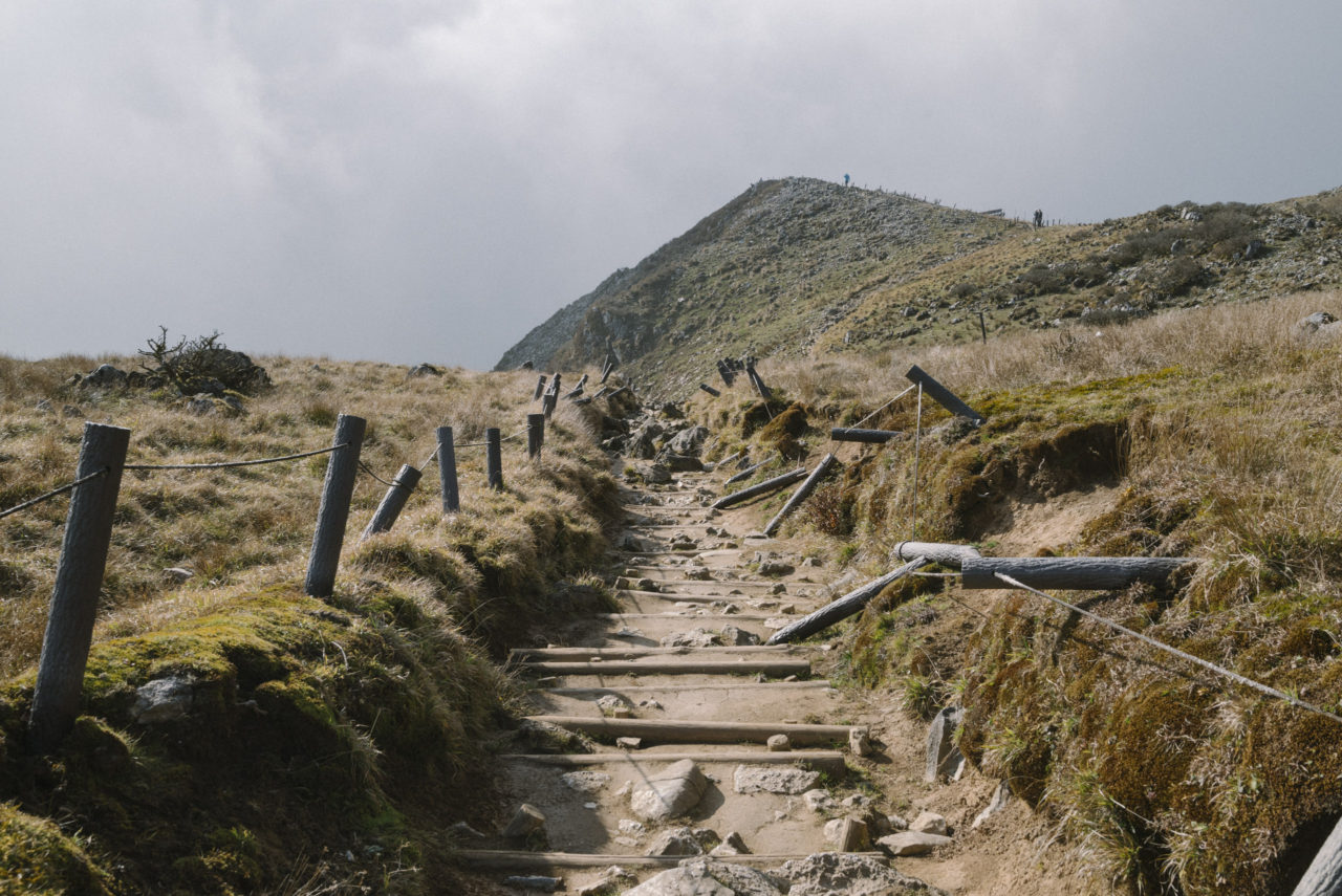 伊吹山登山道下り