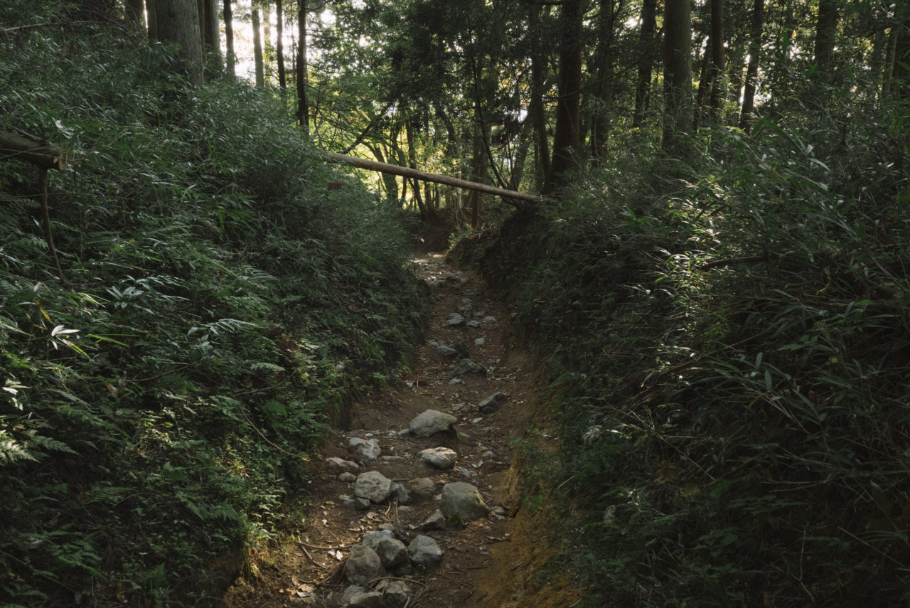 夕暮れの登山道を下る