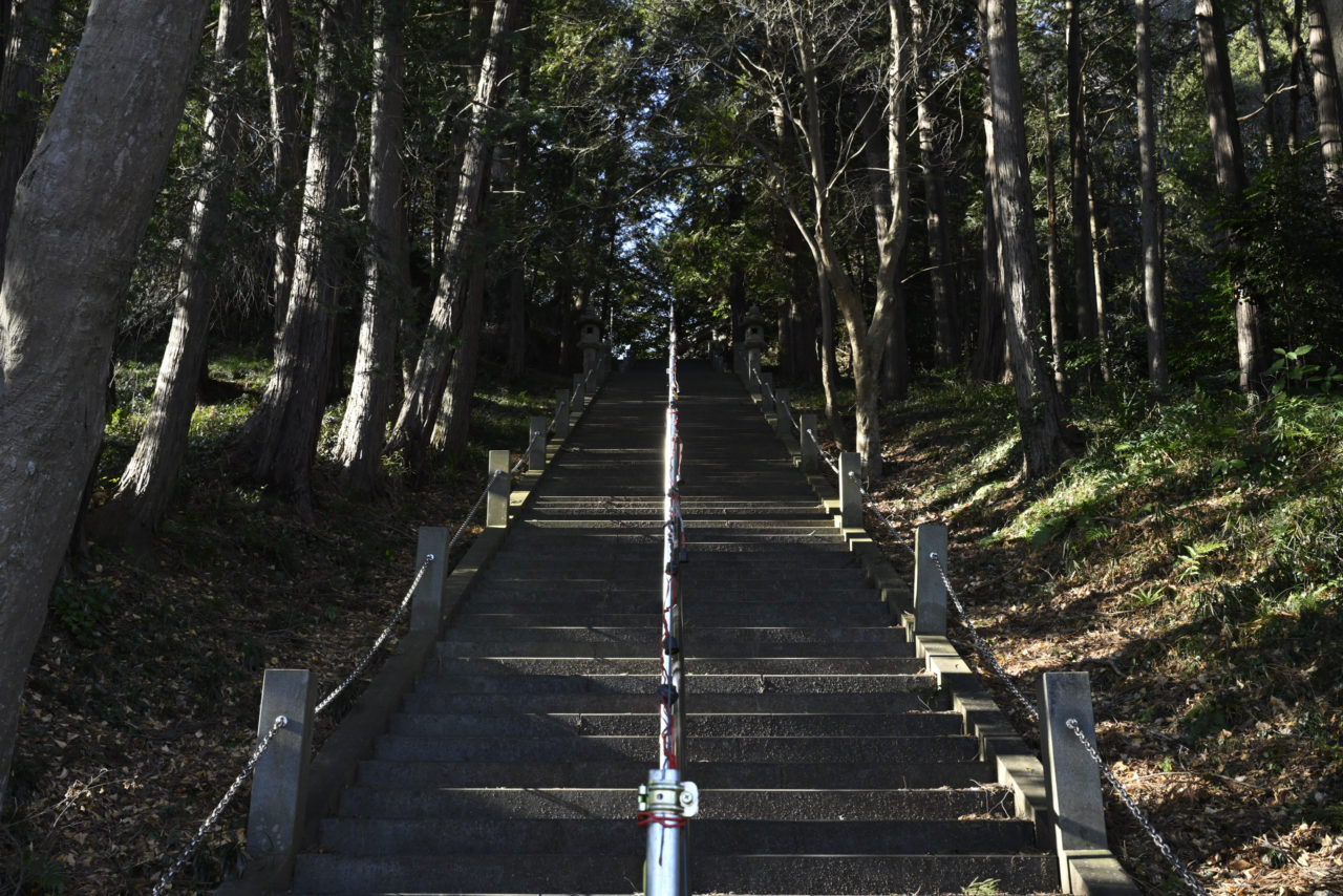境内へ向かう階段を上る