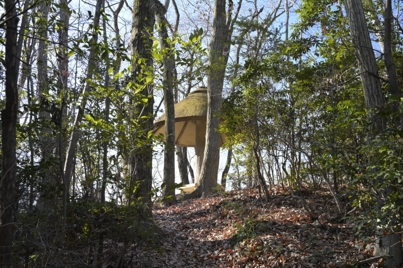 公園に置かれたキノコ型の東屋
