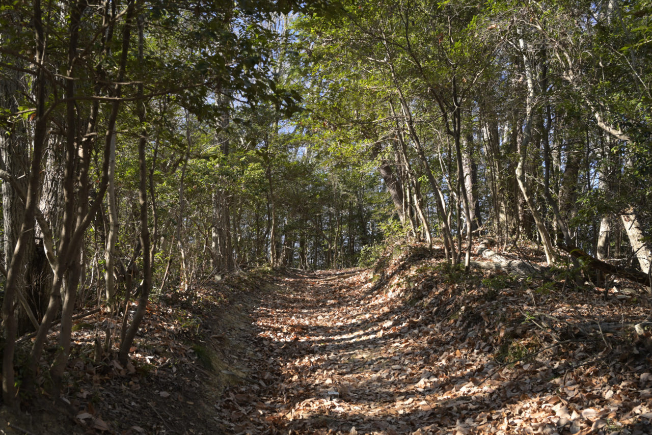 洗堀された登山道