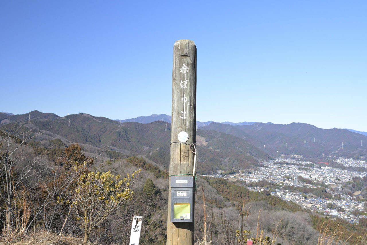 赤ぼっこの木柱