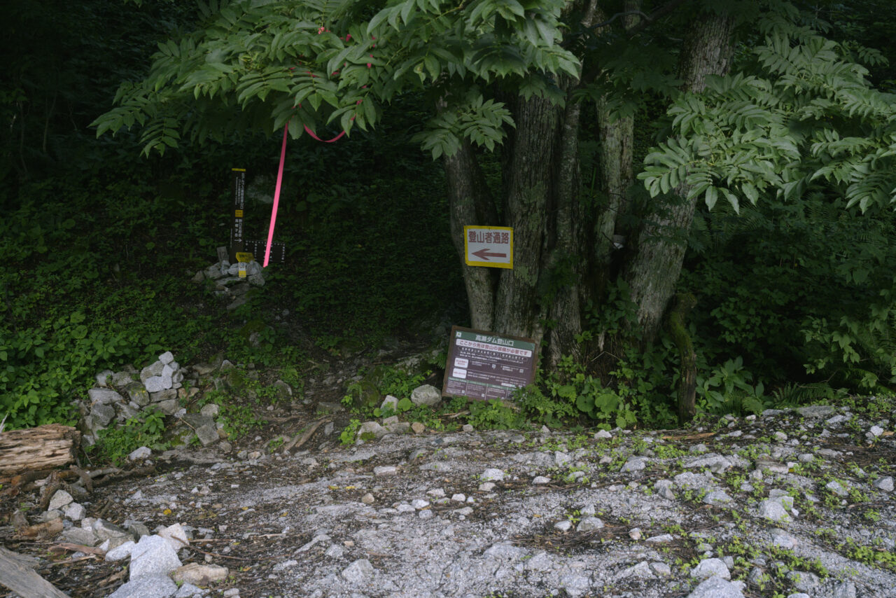 ブナ立尾根登山口