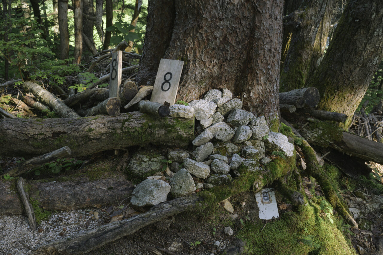 ブナ立尾根8番場所