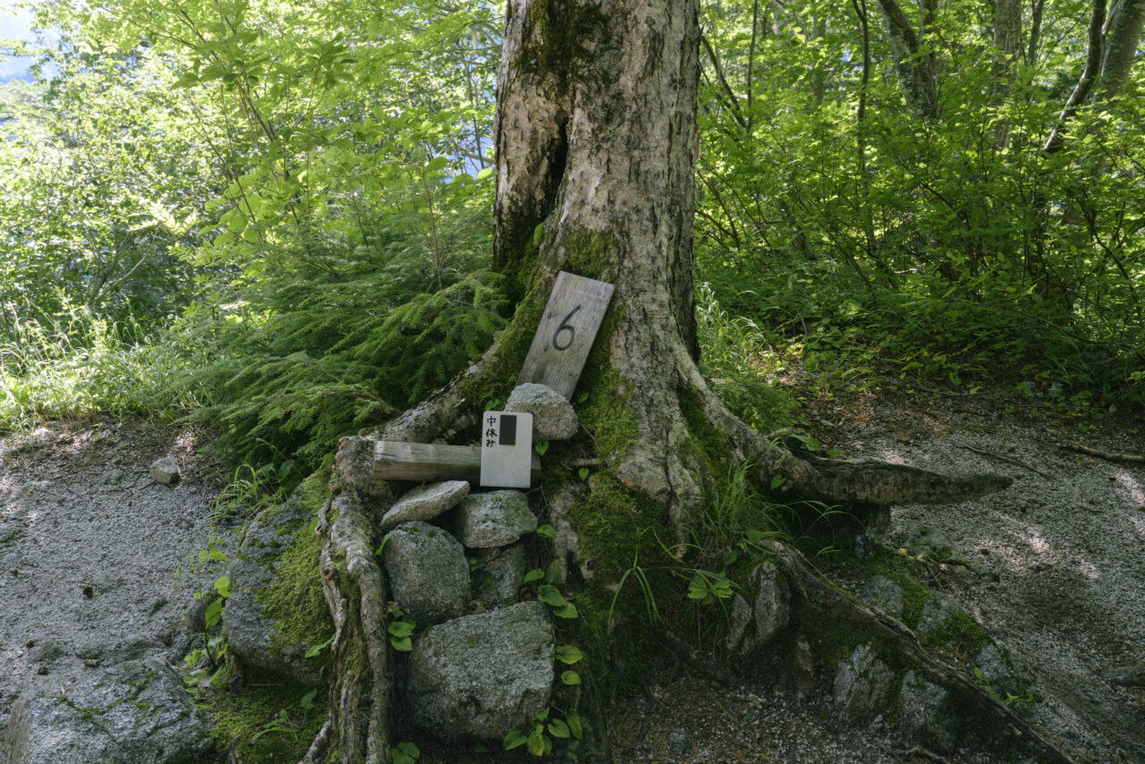 ブナ立尾根6番場所