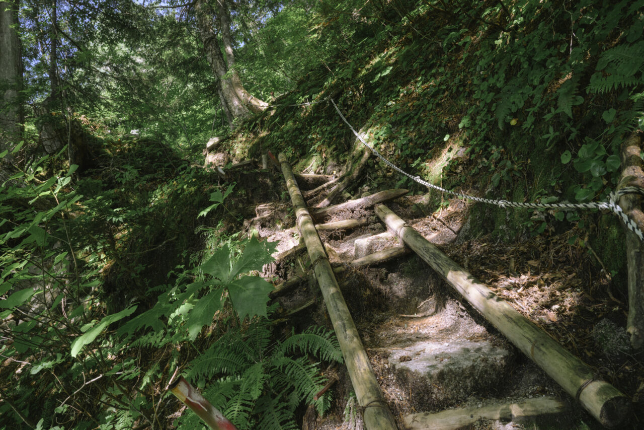 ひたすらつづら折り