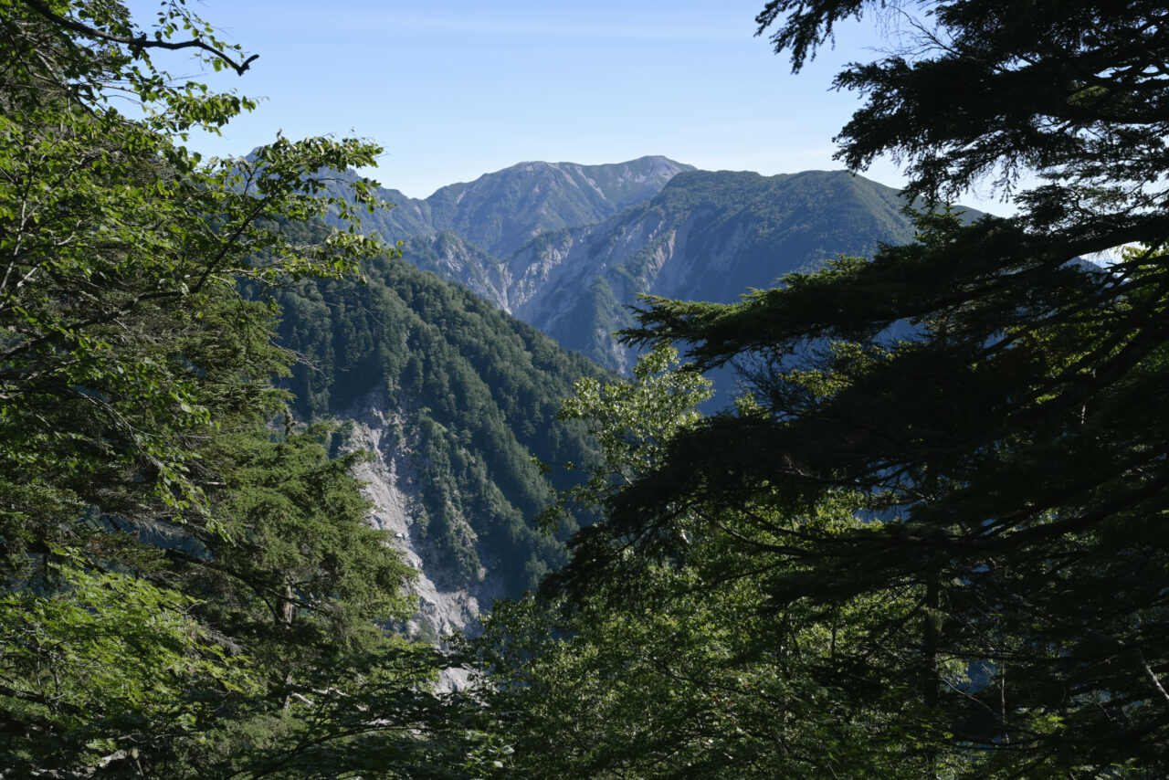 木々の隙間から見える蓮華岳