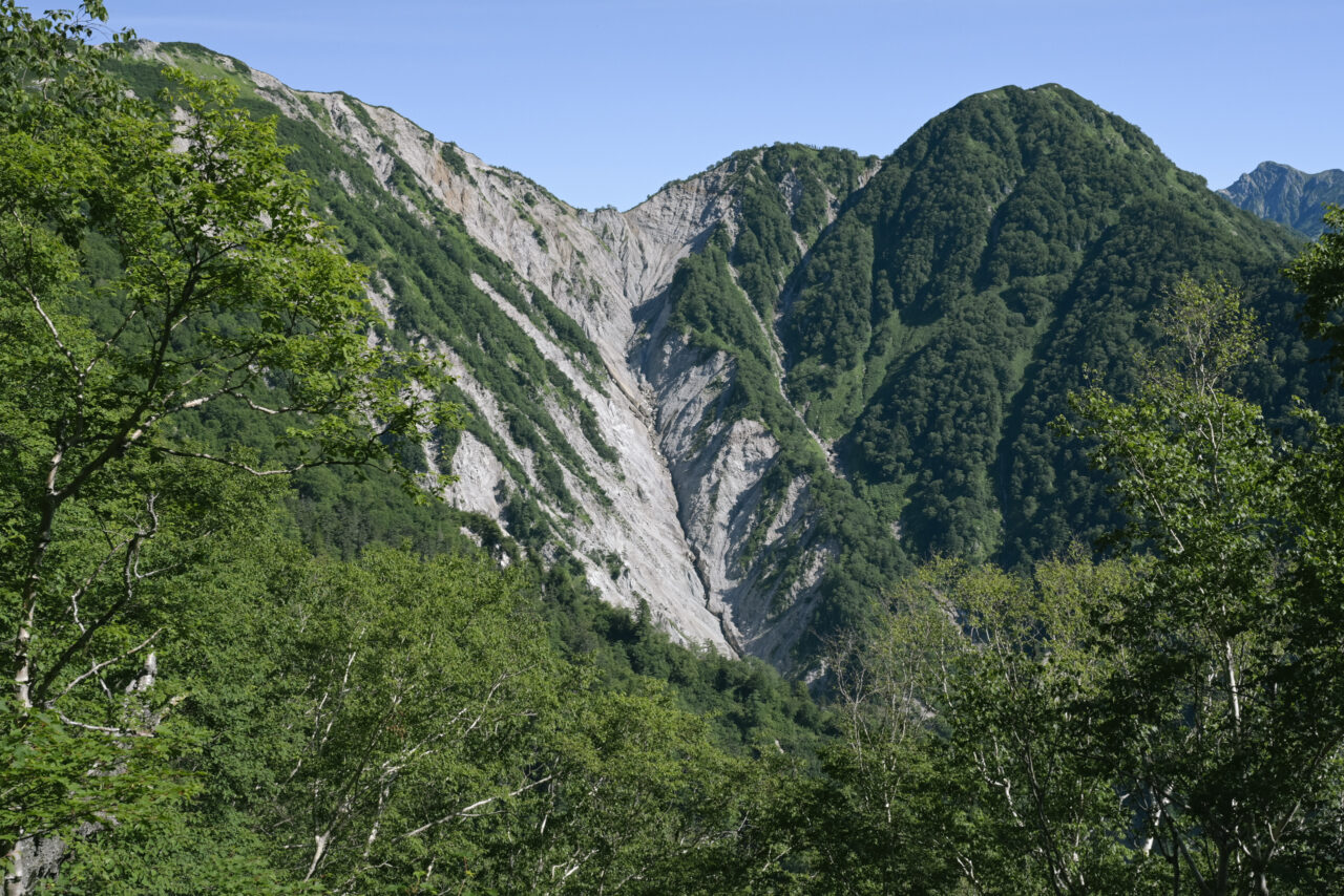 ブナ立尾根から見る船窪乗越方面