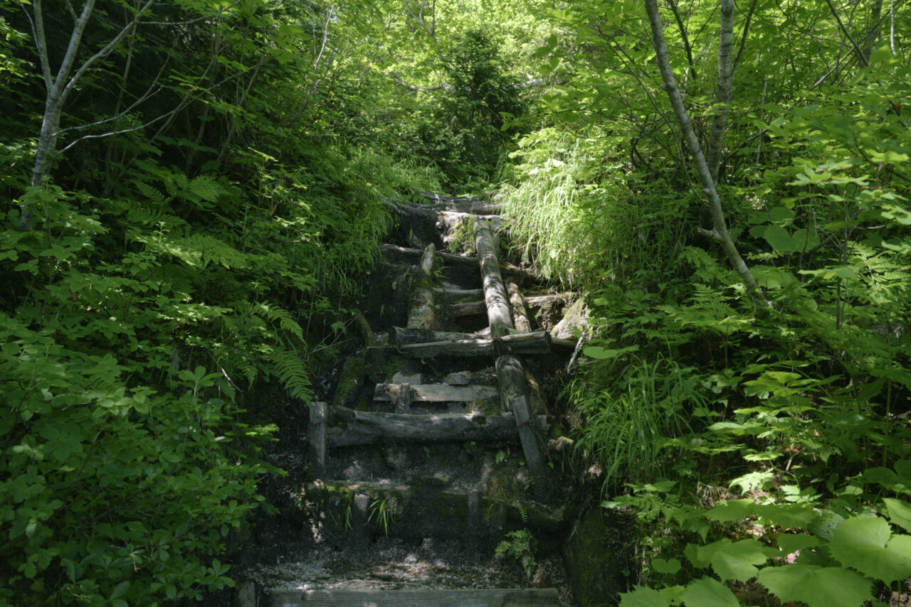 崩れた階段を登り先へ向かう