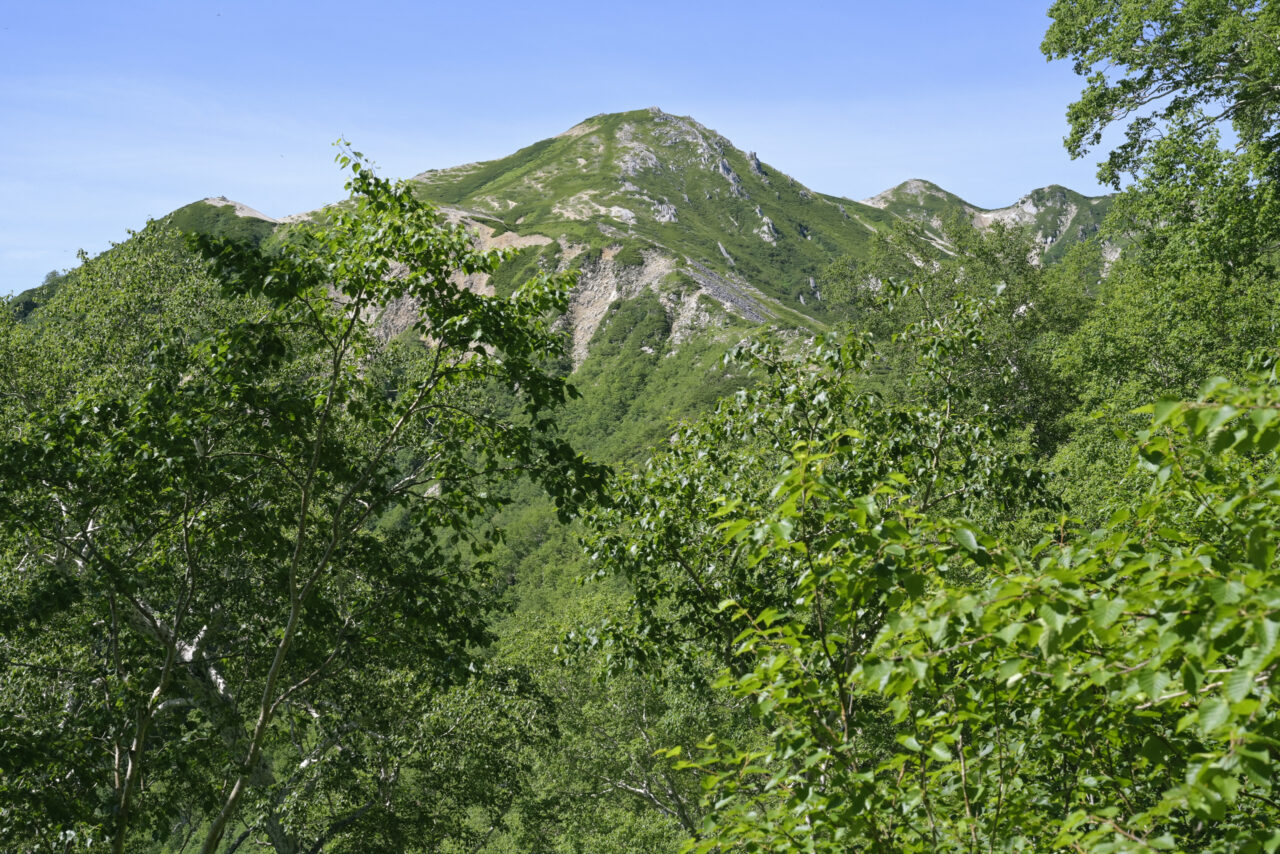 ブナ立尾根から見える稜線