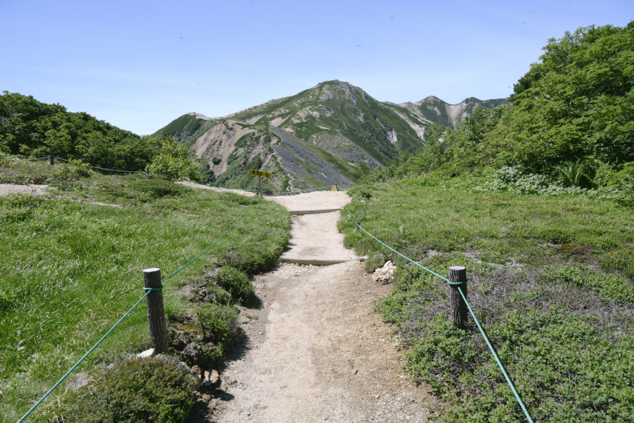 烏帽子小屋から三ツ岳を眺める