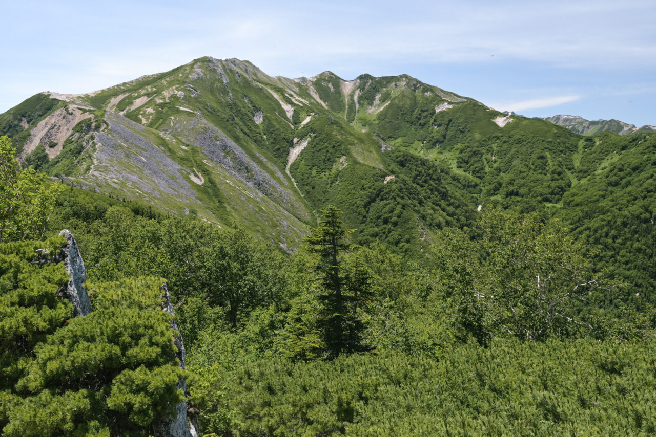 三ツ岳方面の眺め
