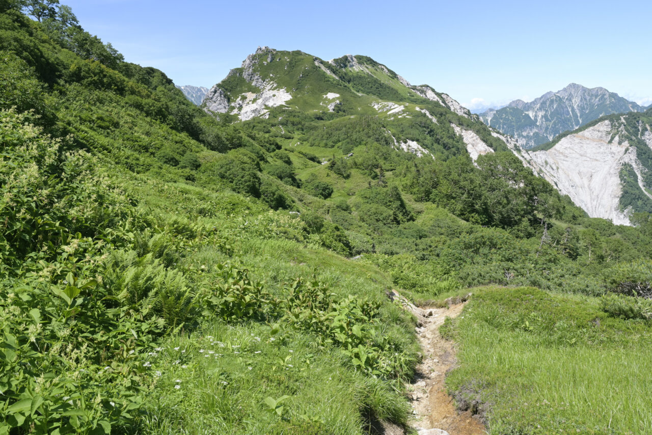 南沢岳へ向かう