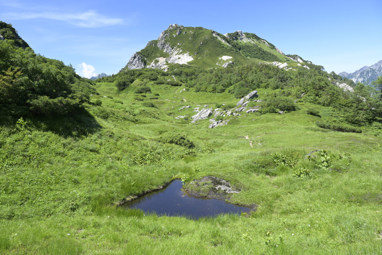 烏帽子田圃と南沢岳