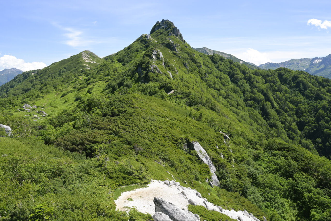 南沢岳側から見る烏帽子岳