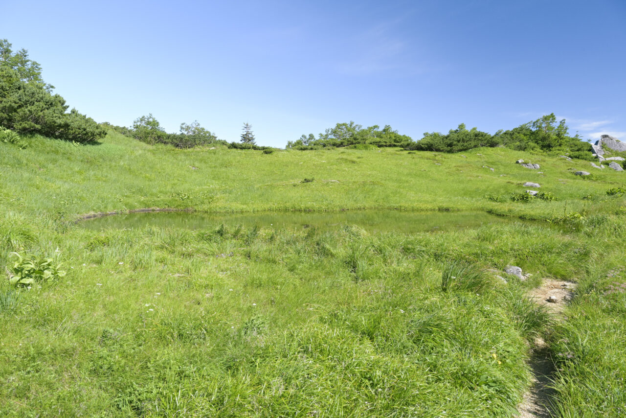 烏帽子田圃の池塘