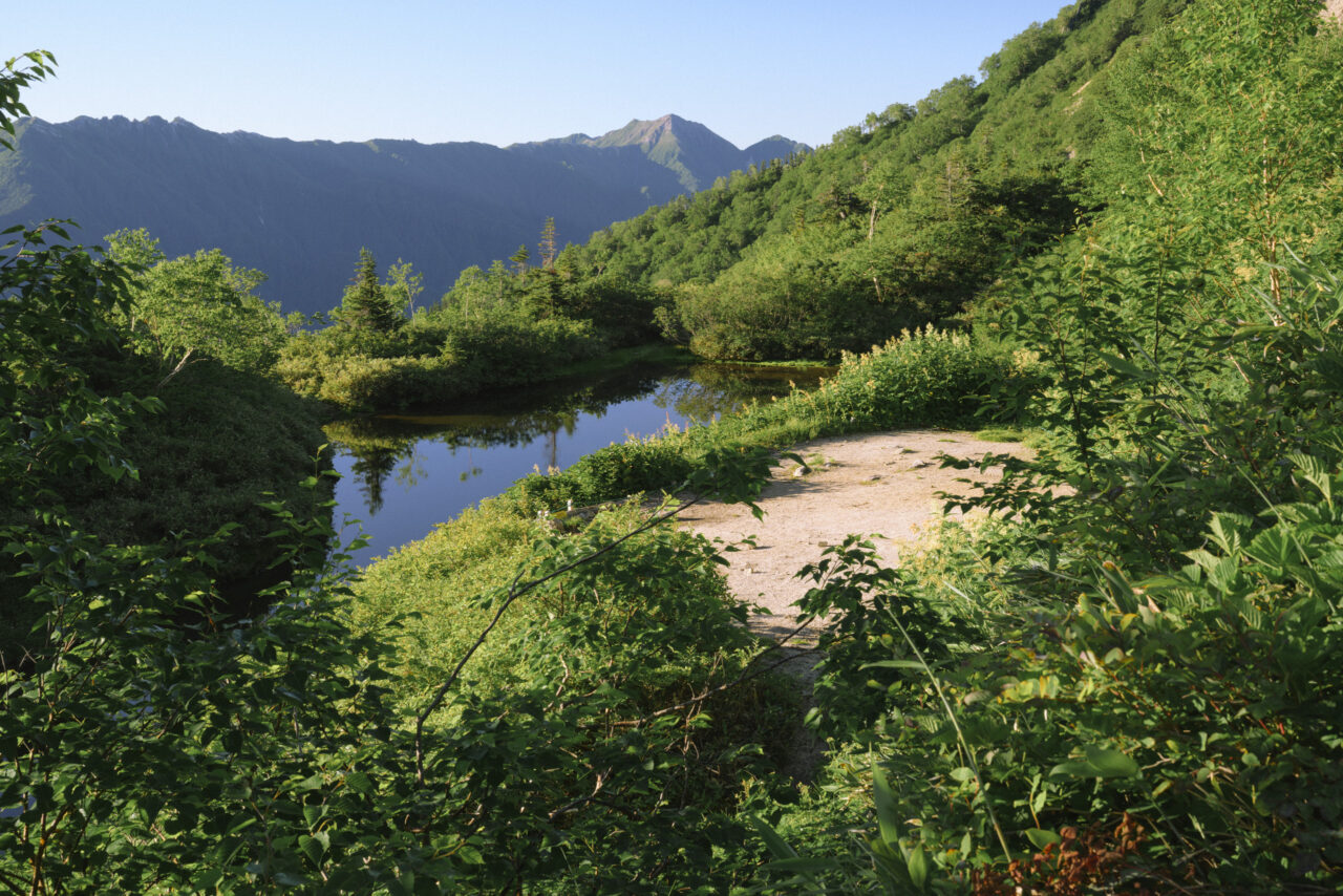 烏帽子小屋の池のほとりを歩く