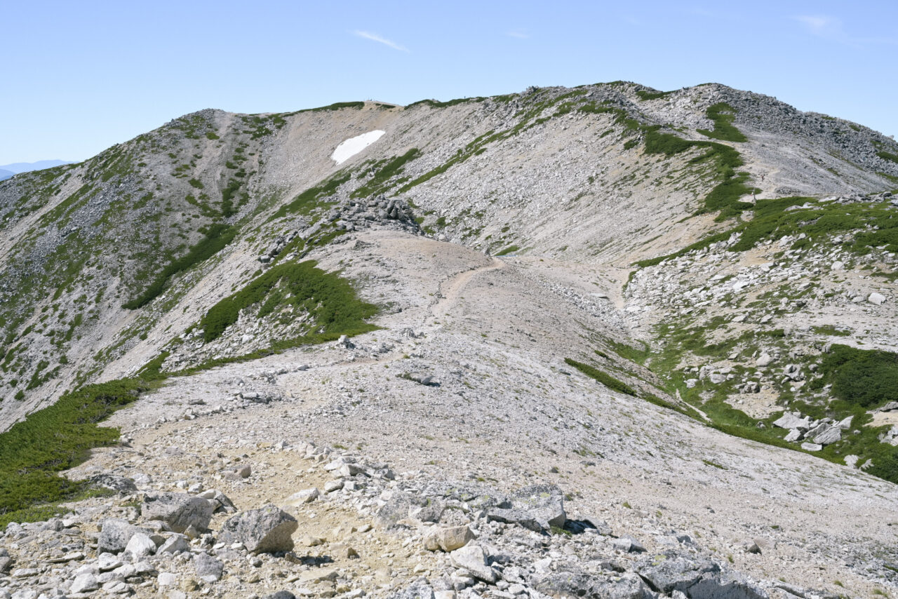 白石とハイマツの稜線地帯