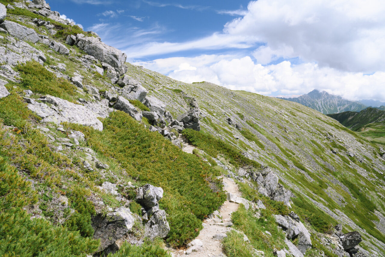 小屋へと戻る登山道