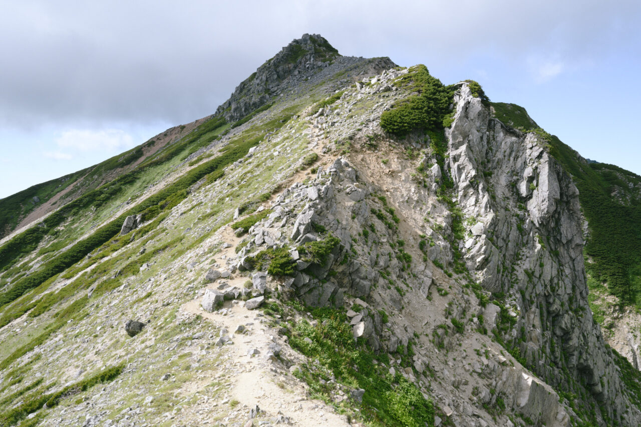 鷲場岳山頂への登り