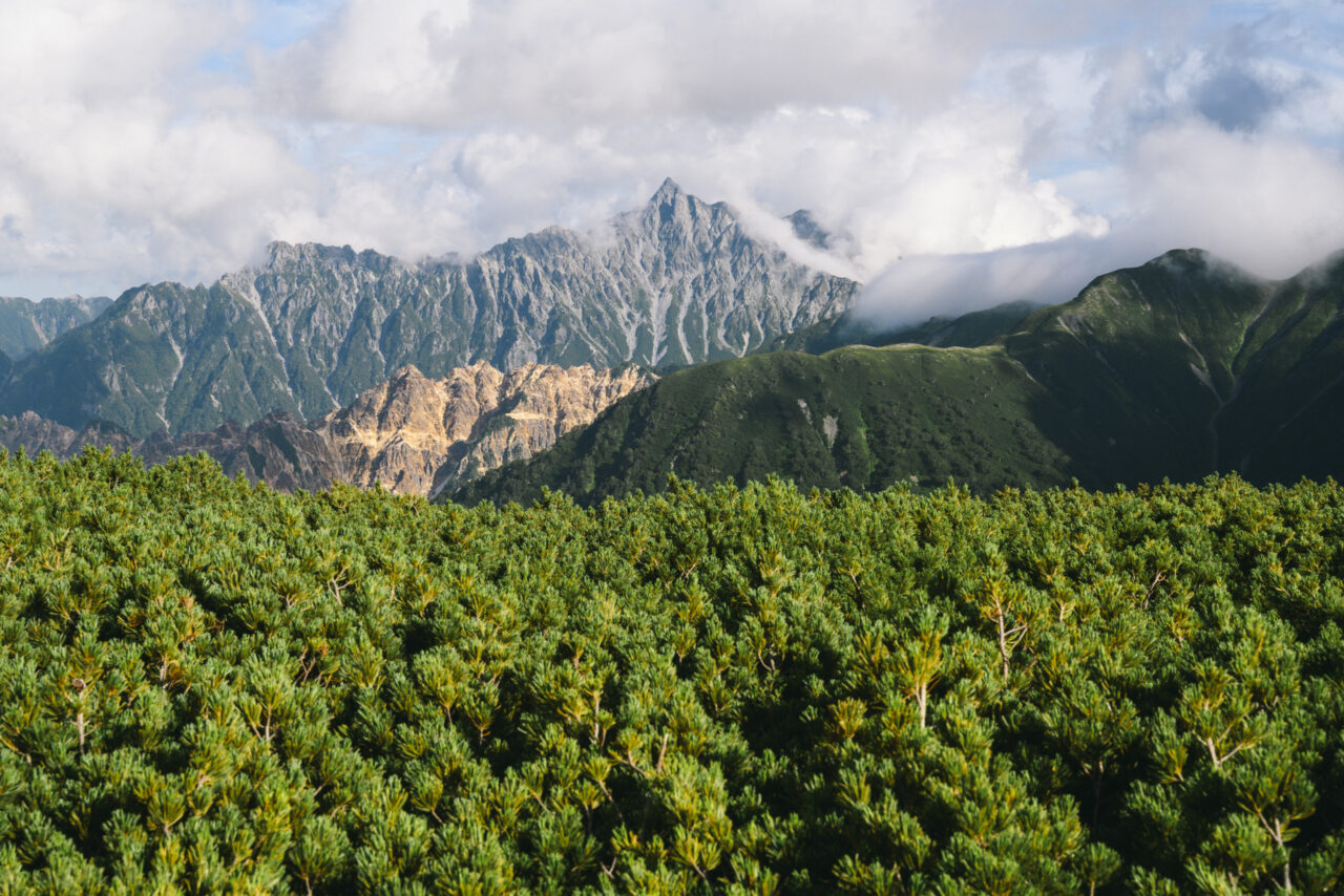 小屋の近くから見る槍ヶ岳